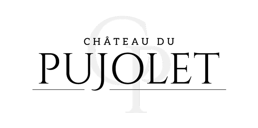 Château du Pujolet