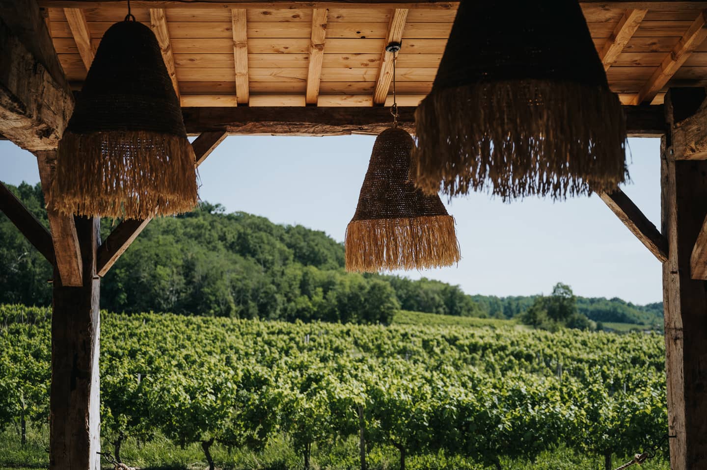 Le préau et les vignes du Château de Garde